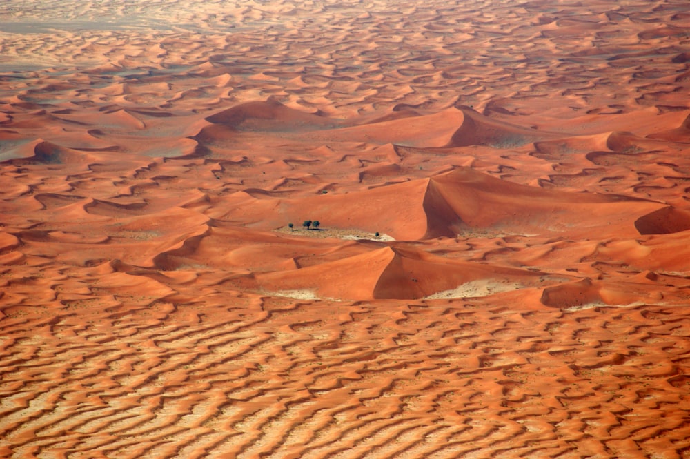 茶色の砂漠のフィールド