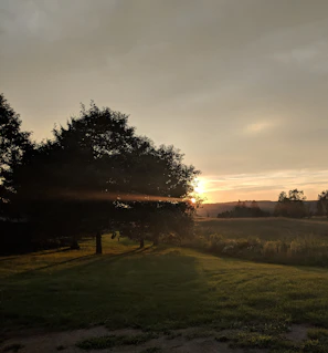 Sunset over Xalapa's lush green hills creating a serene atmosphere.