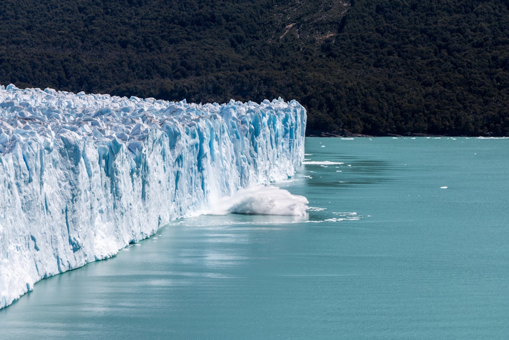 body of water near trees