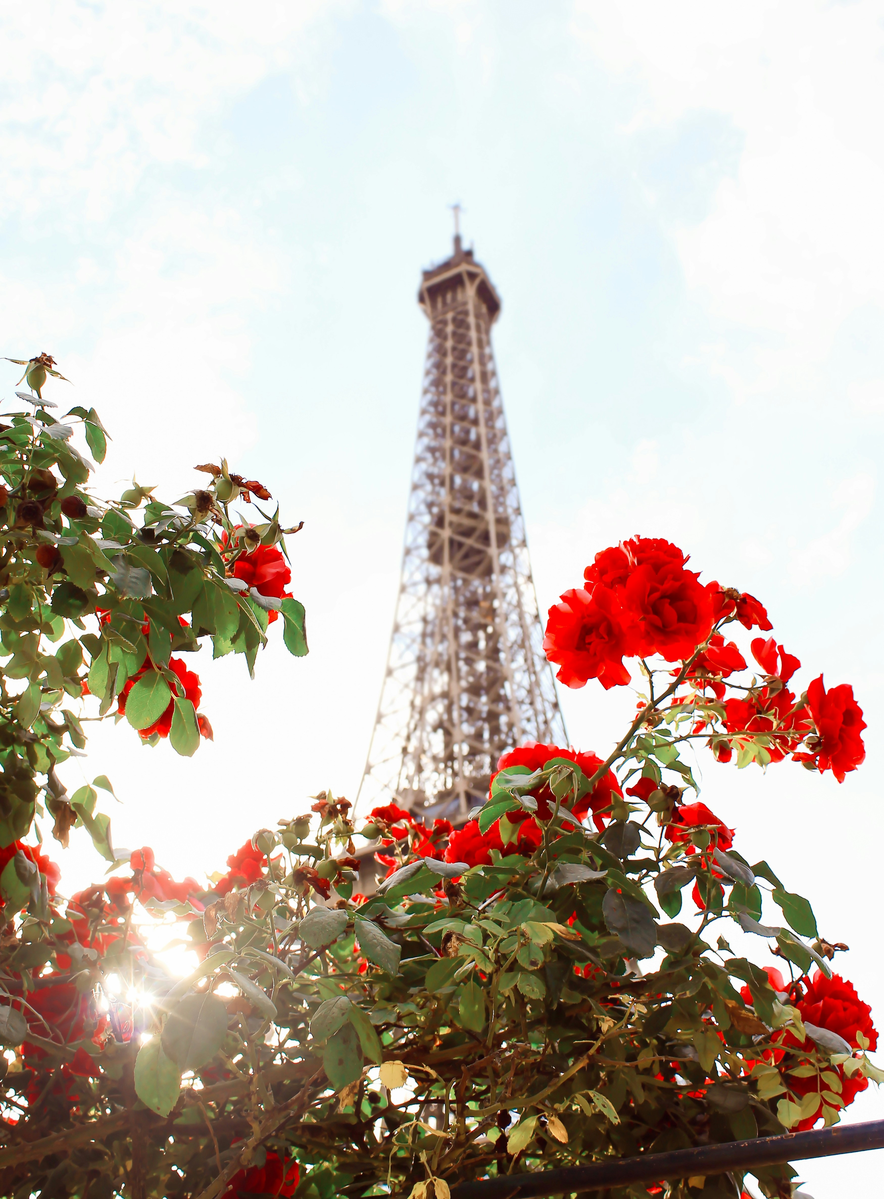 Torre Eiffel, París durante el día