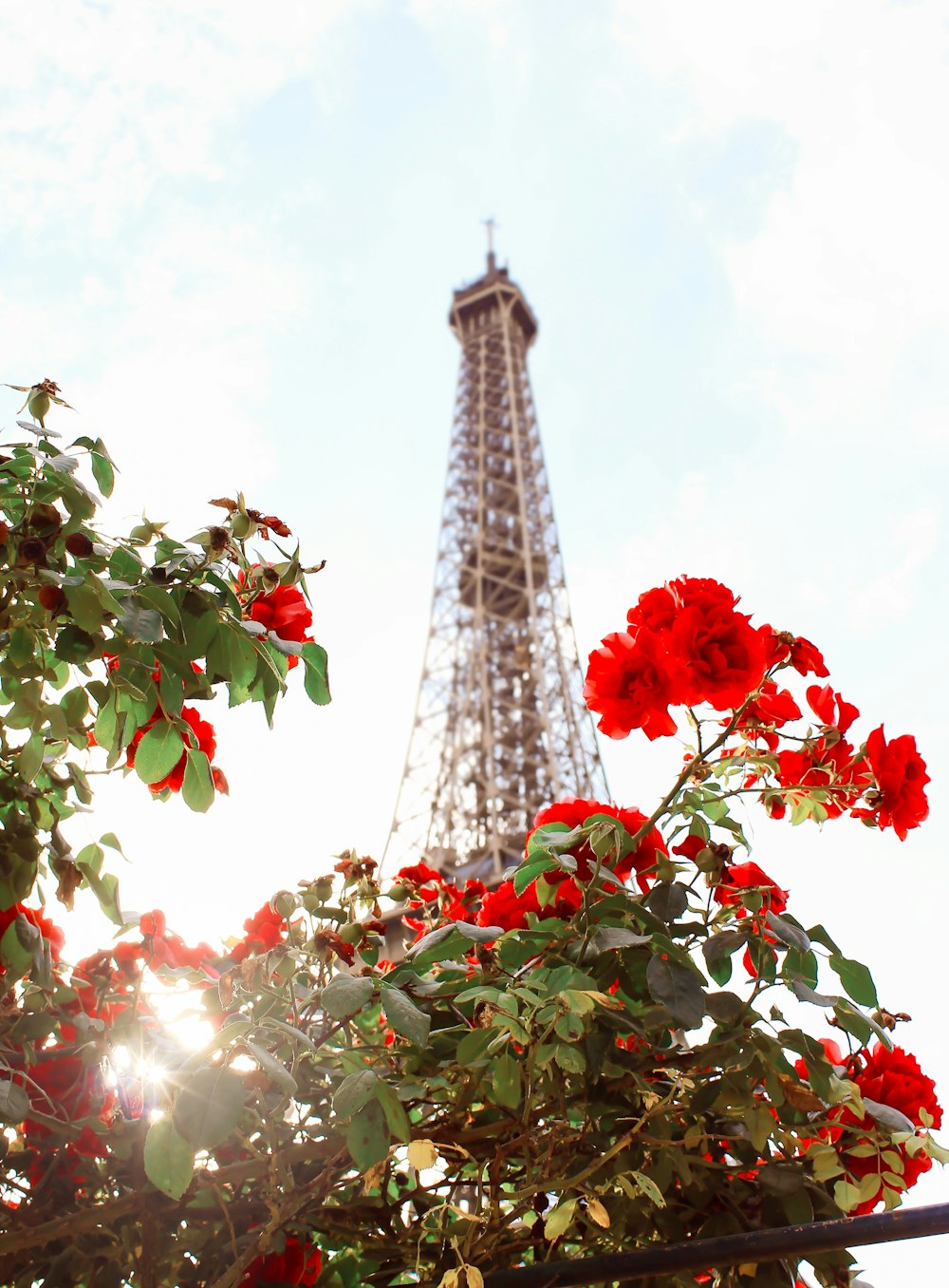 Eiffel Tower, Paris at daytime