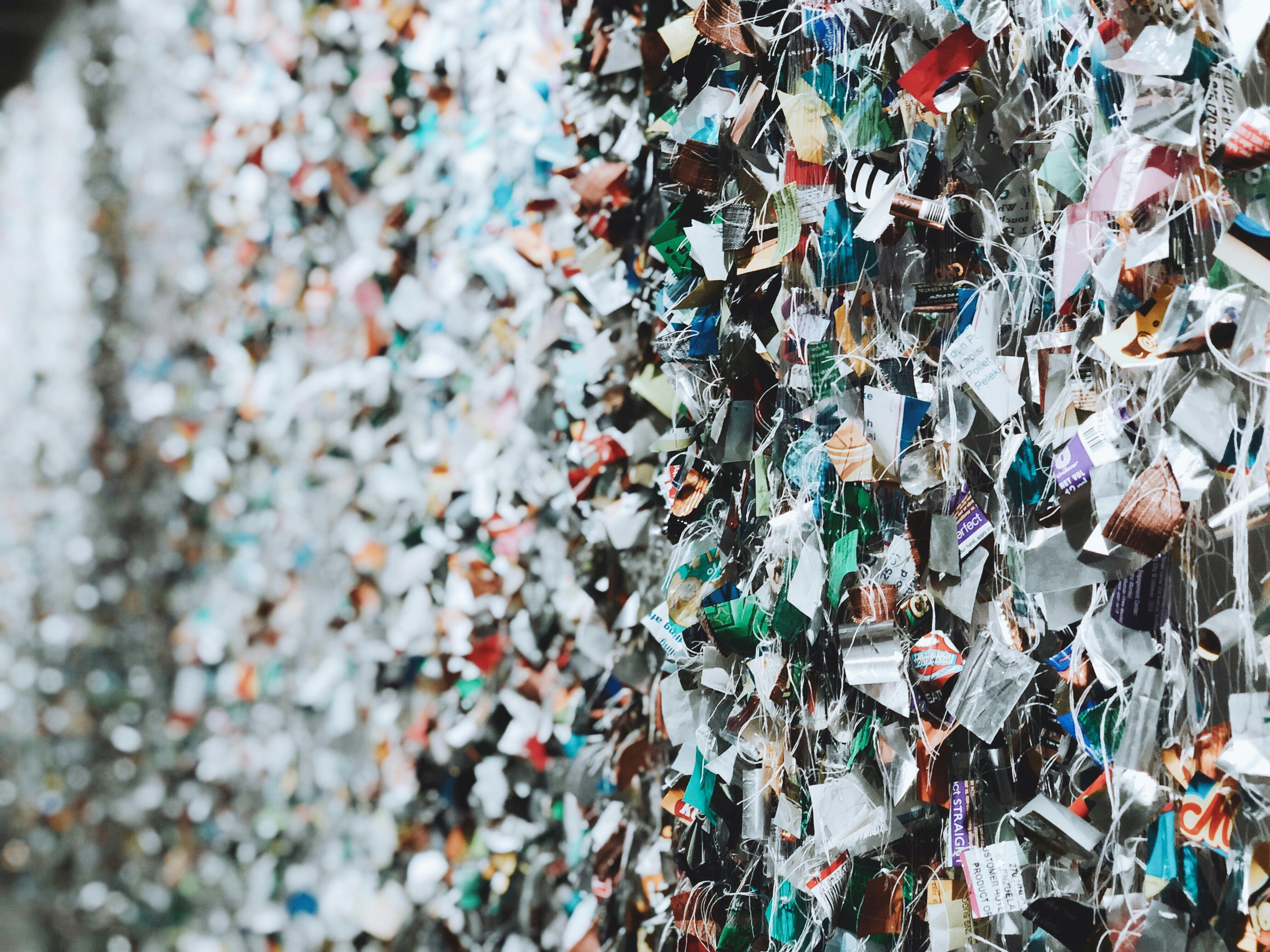 Photo by carlovestoeat