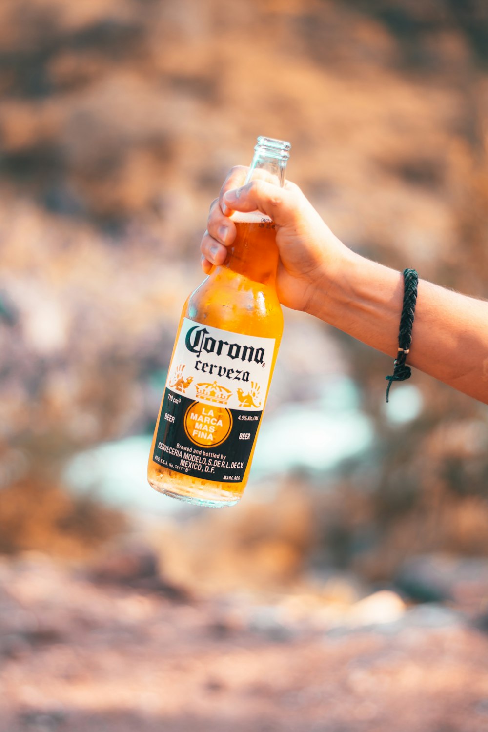 Corona Cerveza