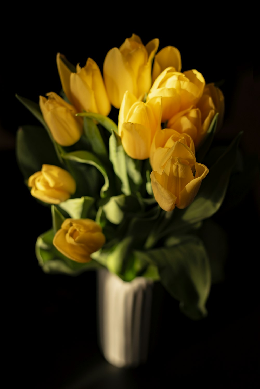 yellow tulip flower bouquet