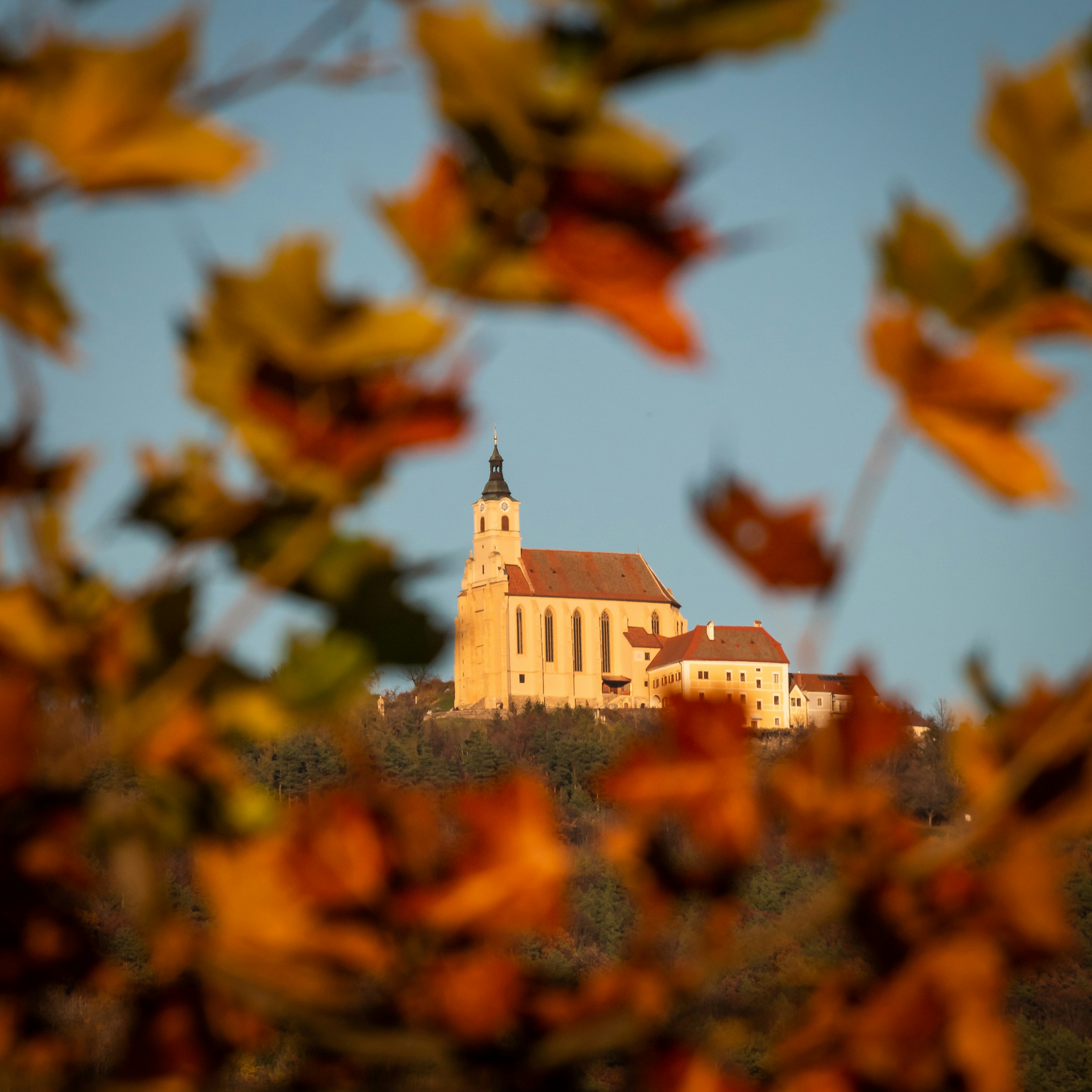 Photo by quaritsch