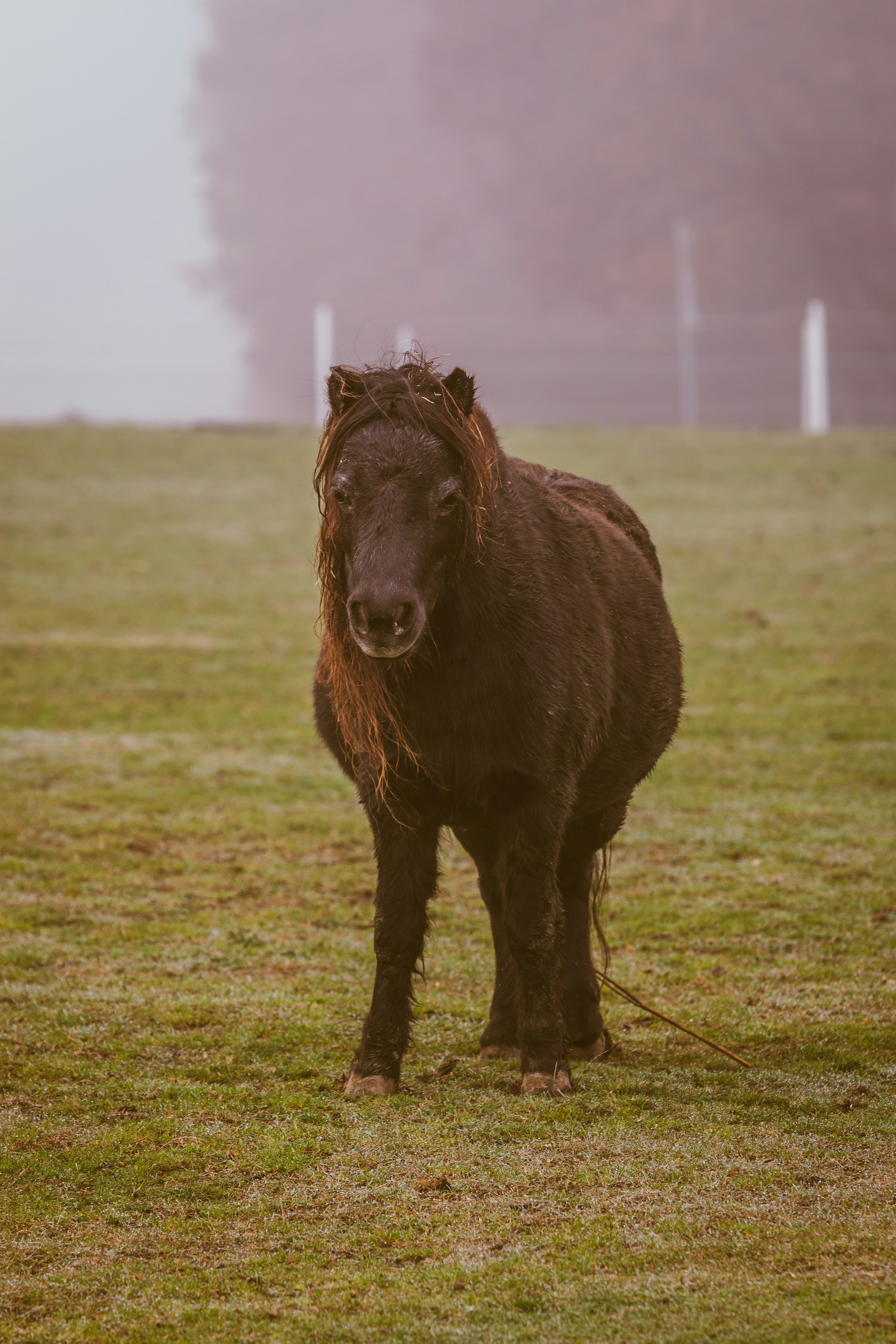 Photo by quaritsch