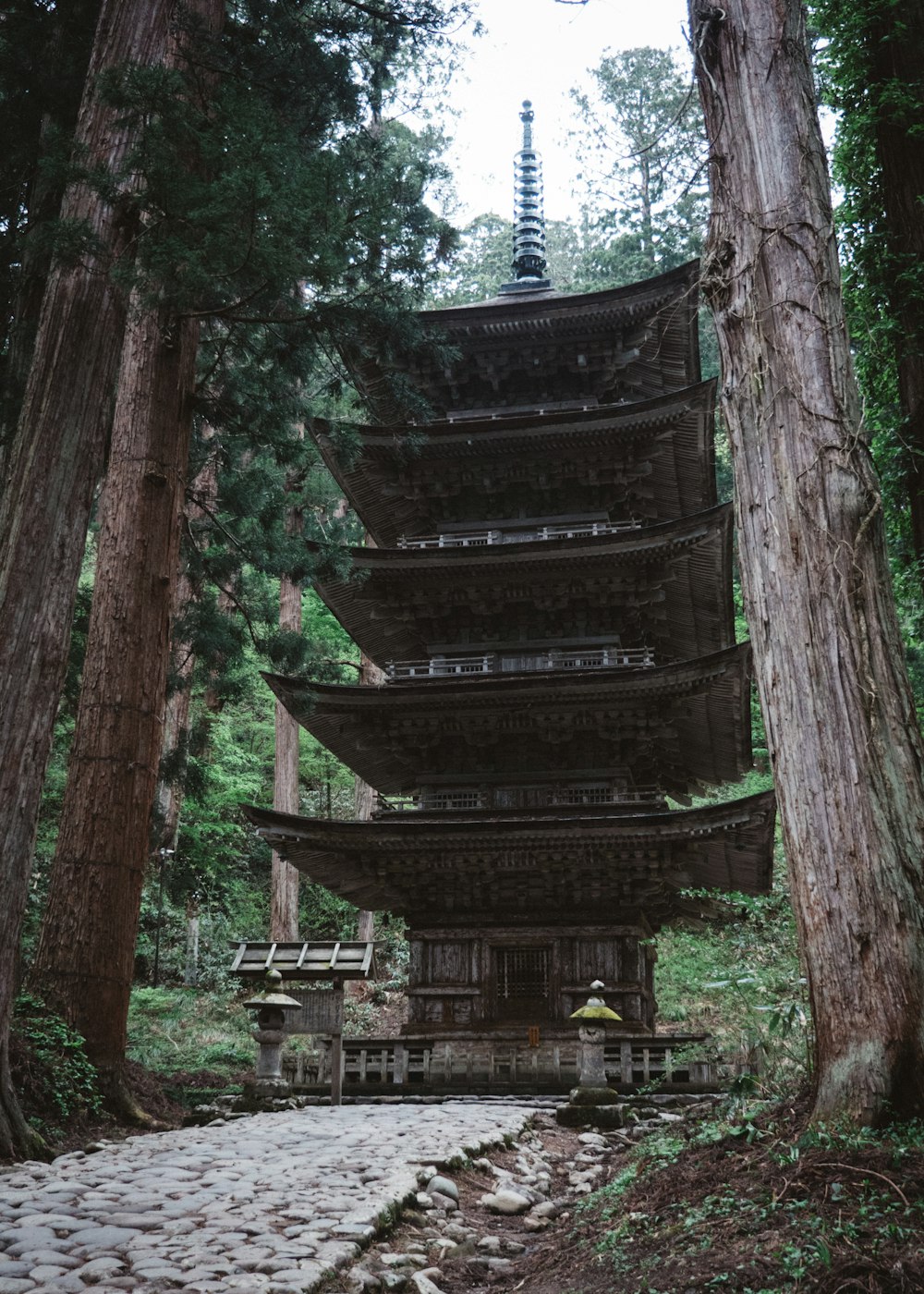 brown castle surrounded by trees