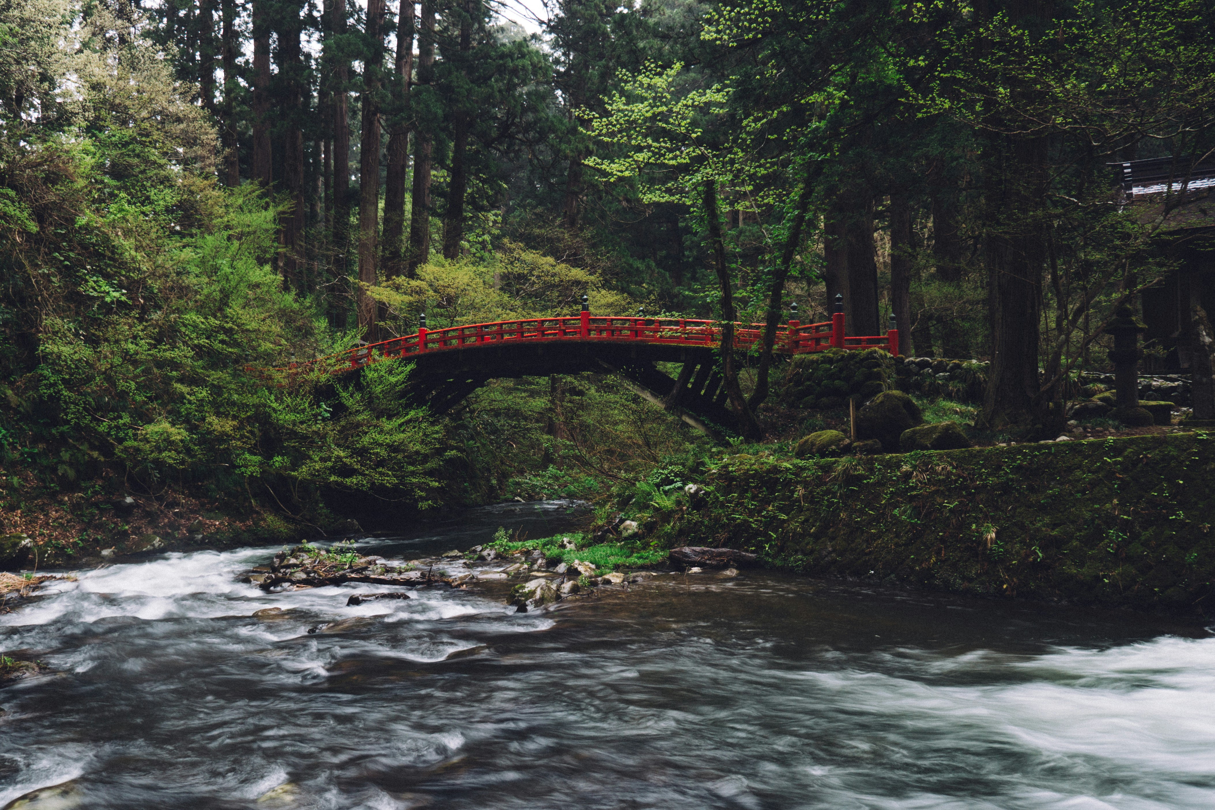 red bridge above river during day