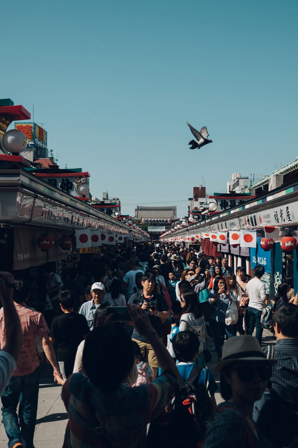 bird flying over people walking on street