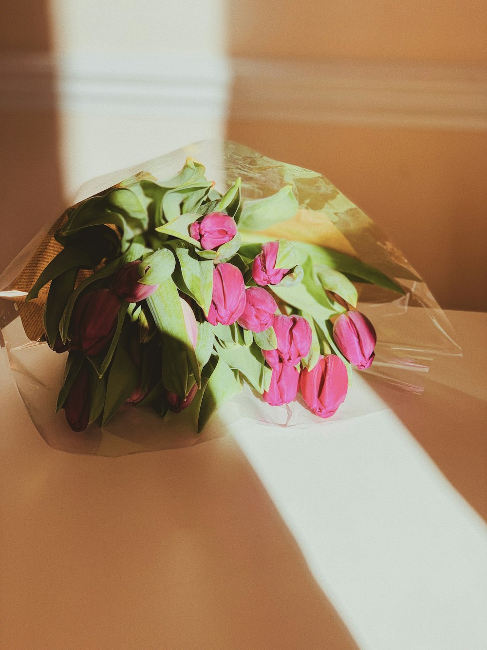 purple petaled flowers on white surface