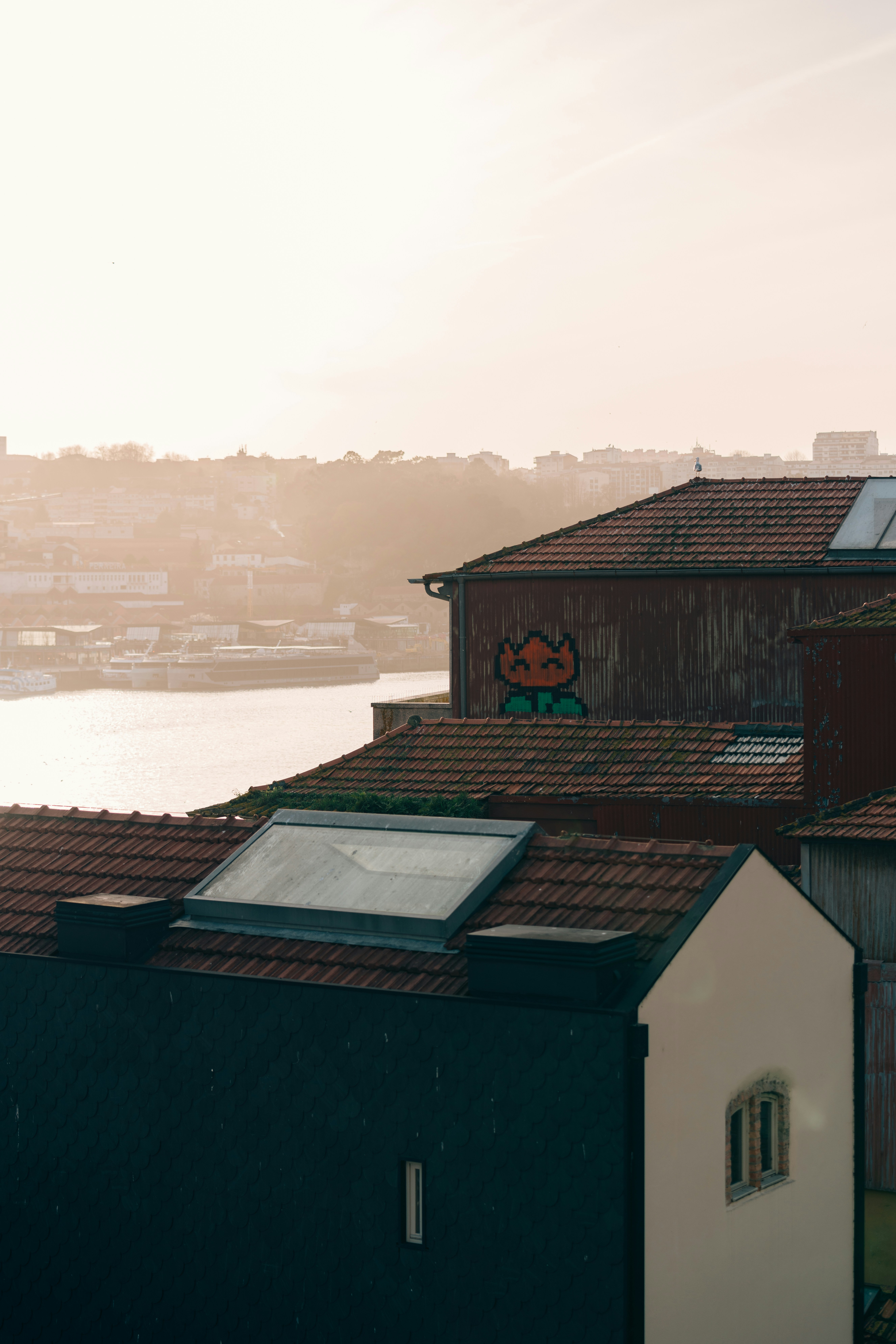 aerial photography of houses under white sky