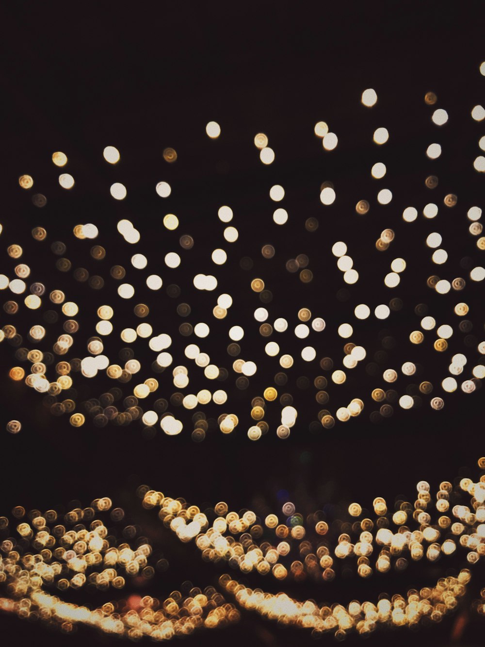 Fairy Lights Pictures | Free Images on