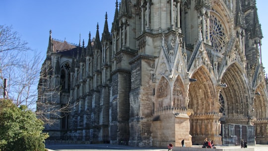 brown concrete cathedral during day in Cathédrale Notre-Dame de Reims France