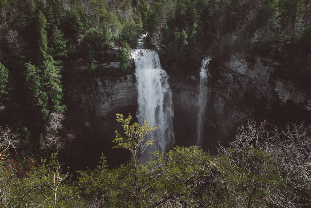 Cae rodeado de árboles en la montaña durante el día