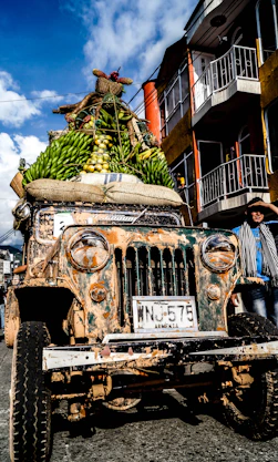 green bananas on vehicle roof