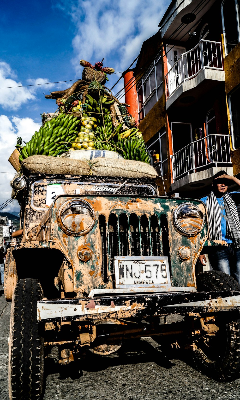 green bananas on vehicle roof