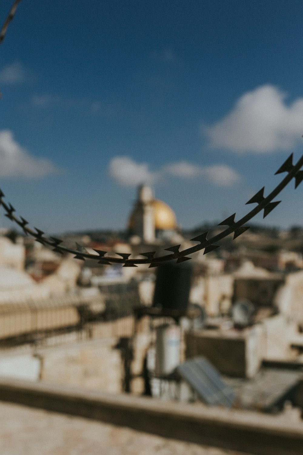 selective focus photography of black barbwire