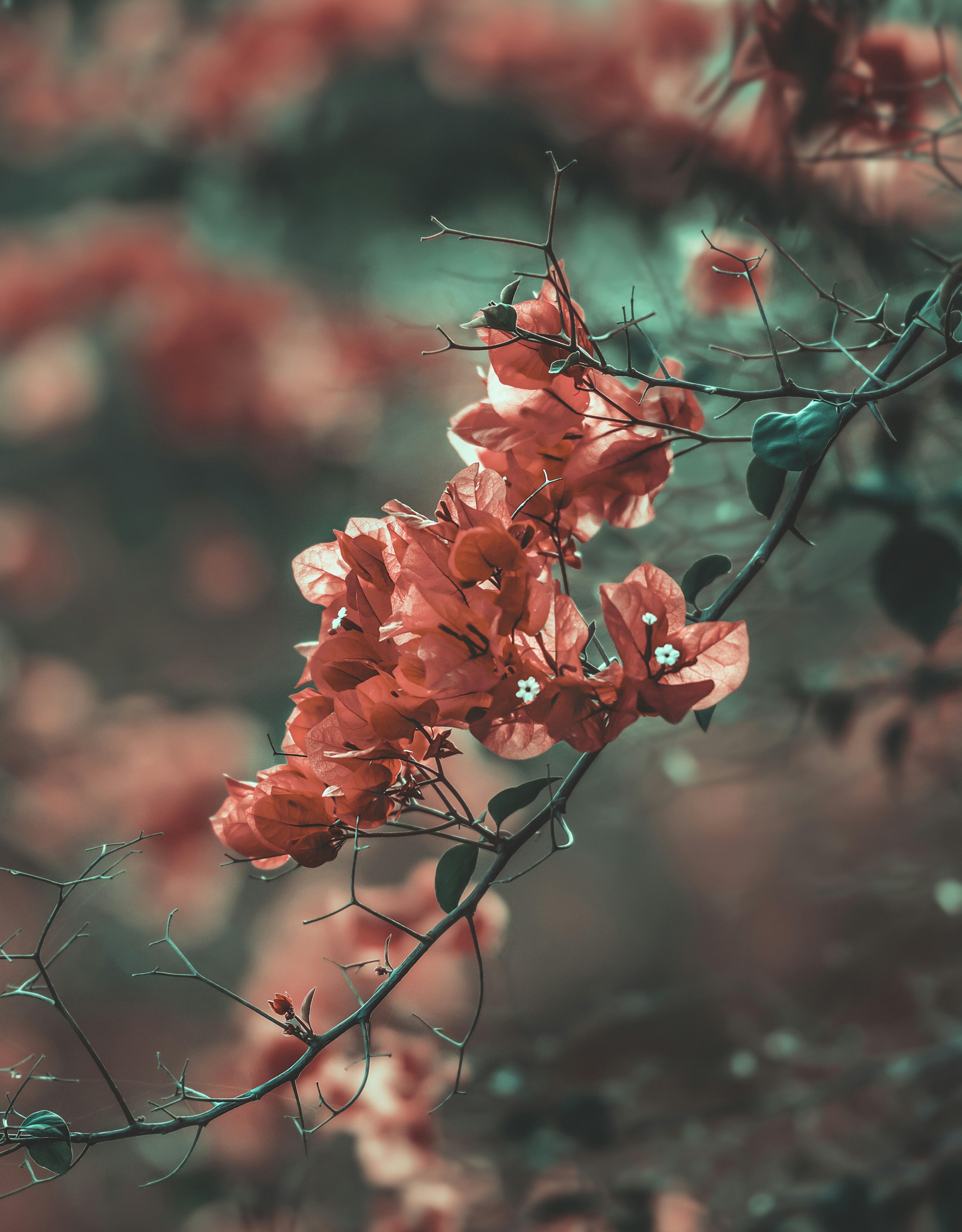 Photo by parsa_sajednia