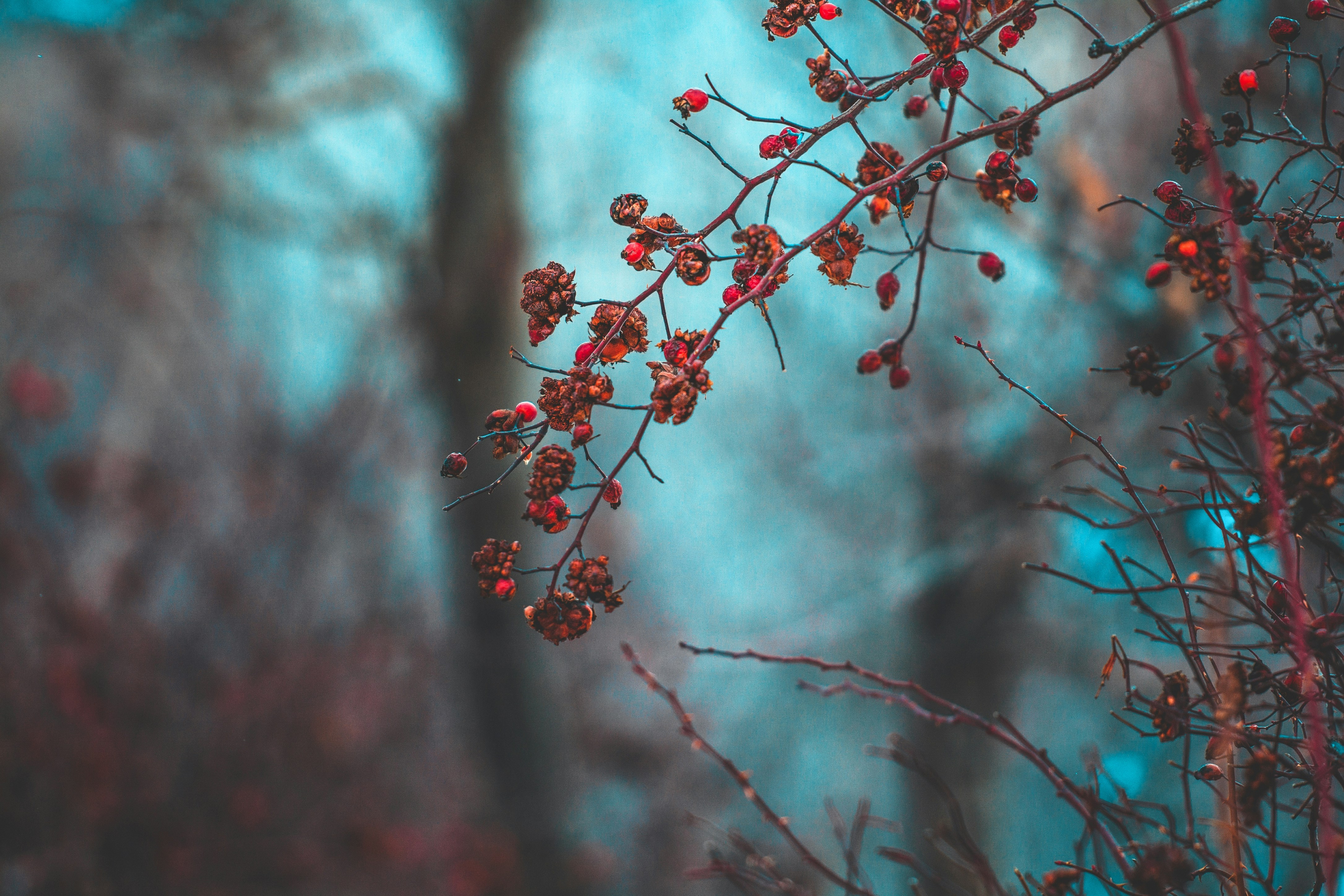 Photo by parsa_sajednia