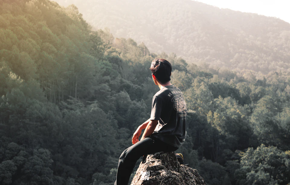 In the image, a young man is perched on a rock overlooking a forested area. He's dressed casually in a black t-shirt and blue jeans, with his back to the camera. The man appears to be lost in thought or simply enjoying the view of the surrounding trees and mountains.