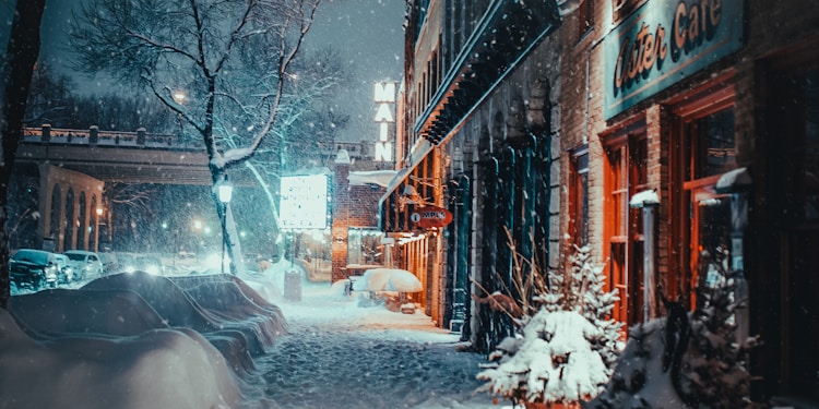 snow covered plant and road in front of cafe