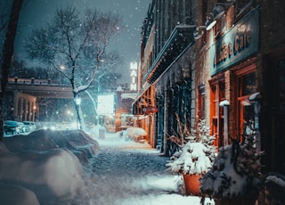 snow covered plant and road in front of cafe