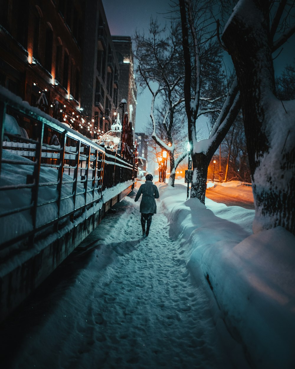 person walking on snow beside trees