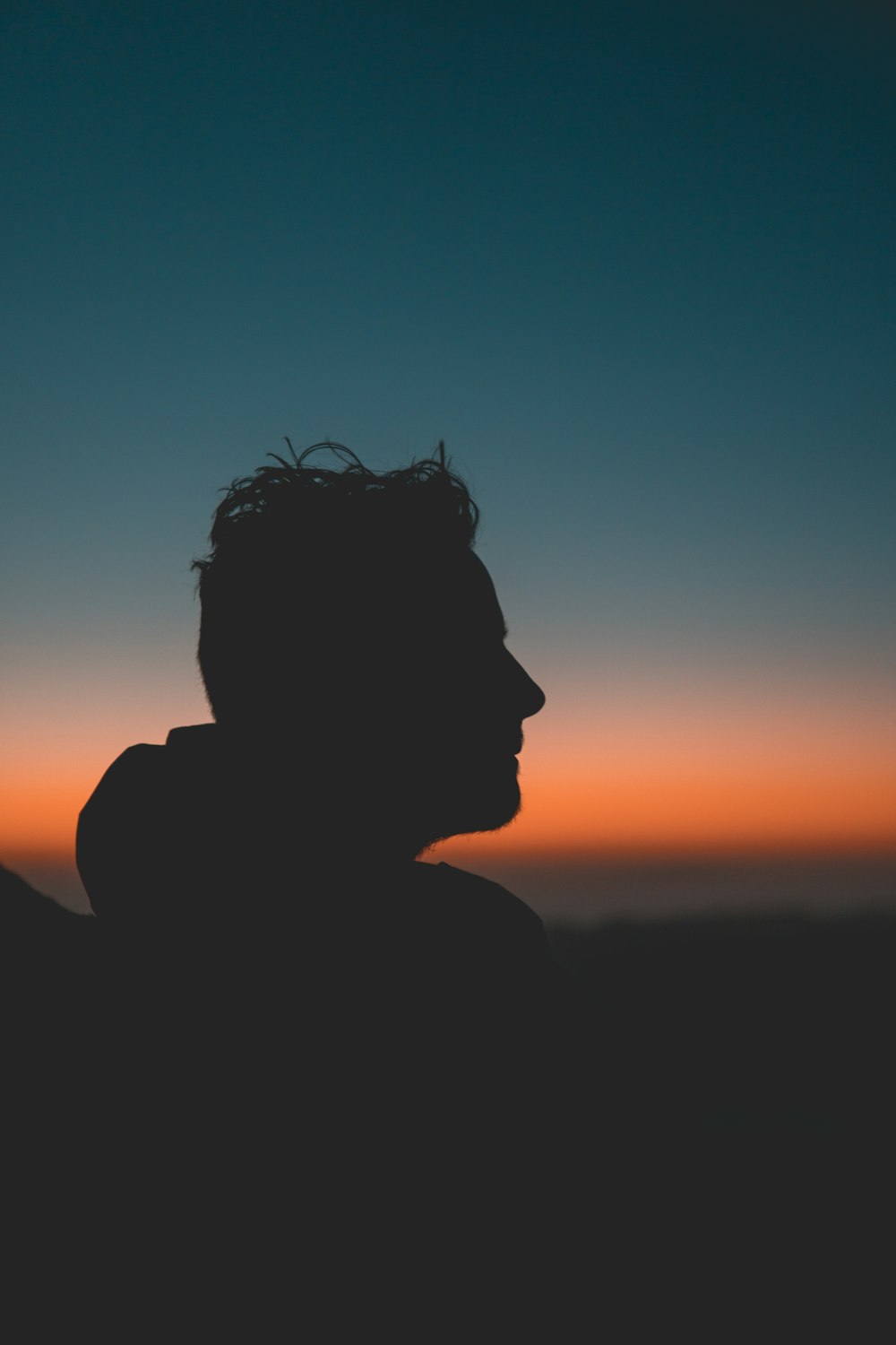 silhouette of man during golden hour