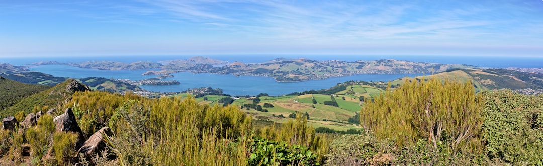 travelers stories about Nature reserve in 440 Cowan Rd, New Zealand