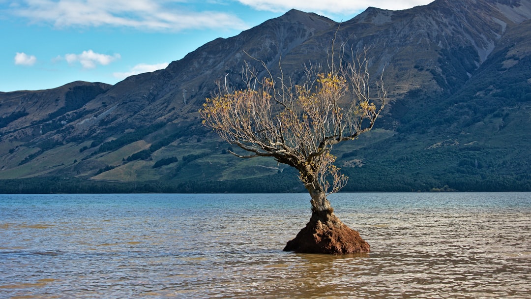 Loch photo spot 1 Mull St Skyline Queenstown