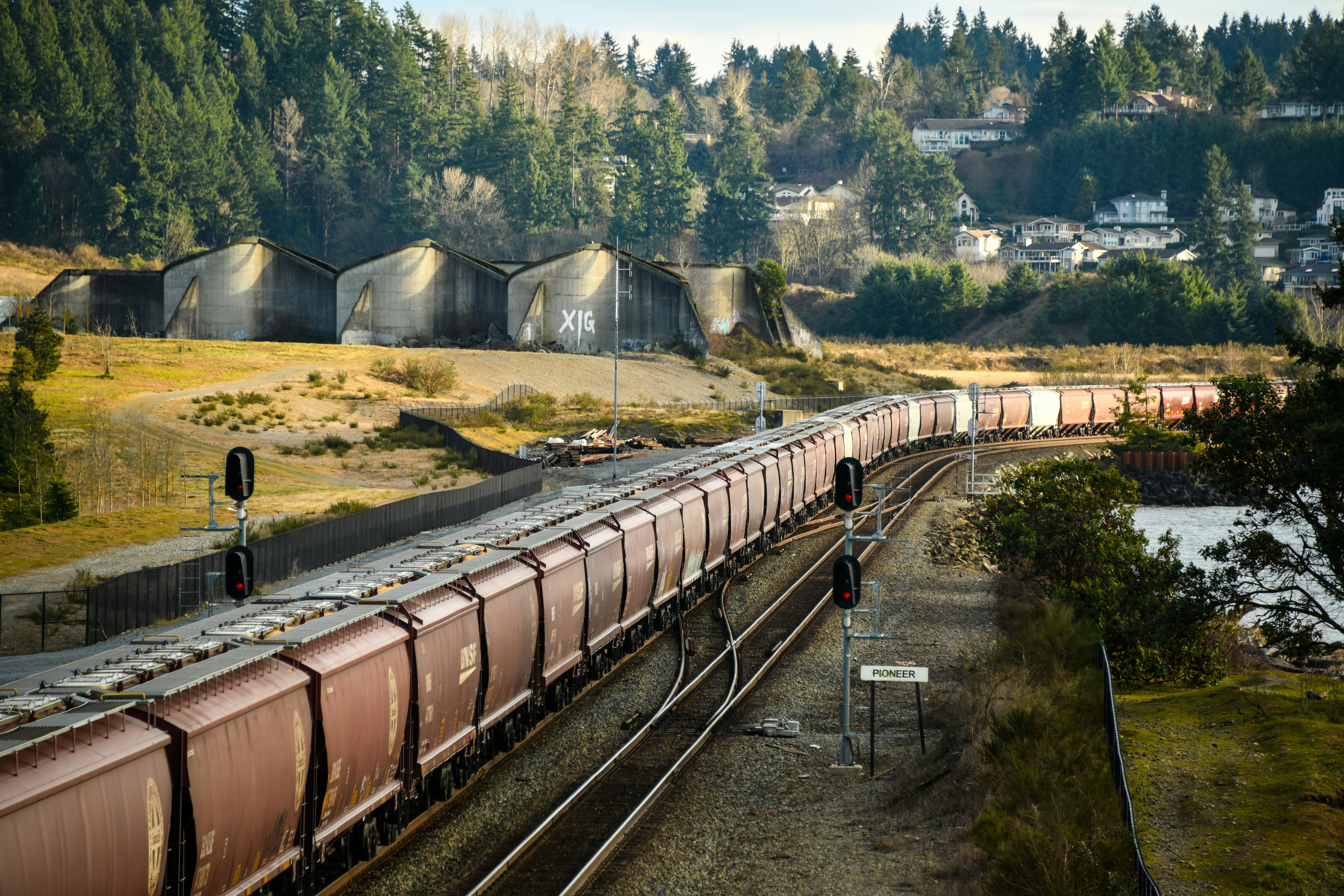 Photo by shelleypauls