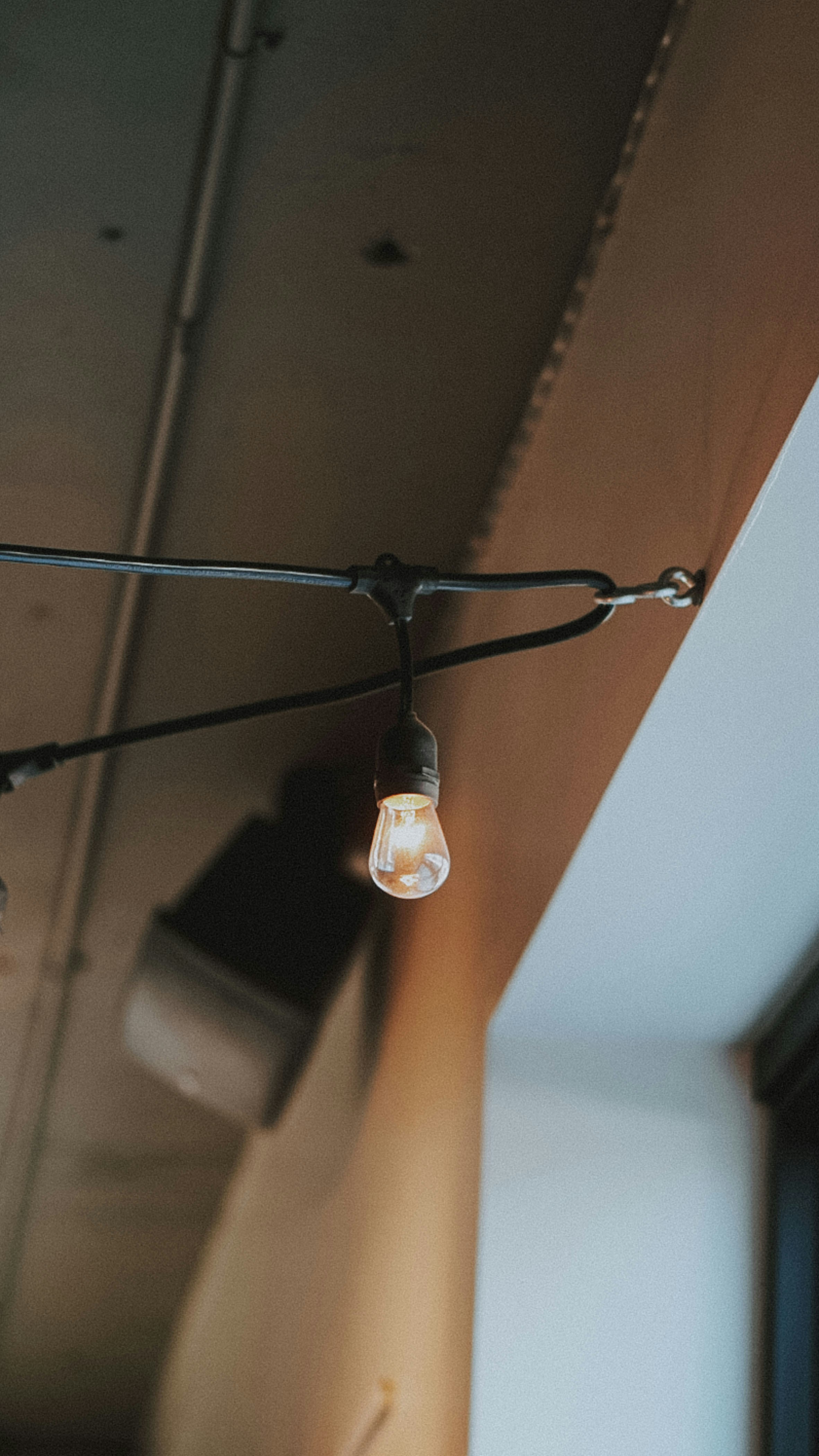 Photo by hanreinphoto