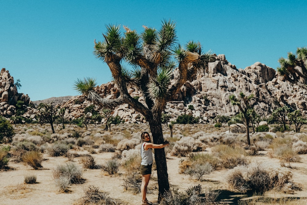 woman embracing tree during daytime