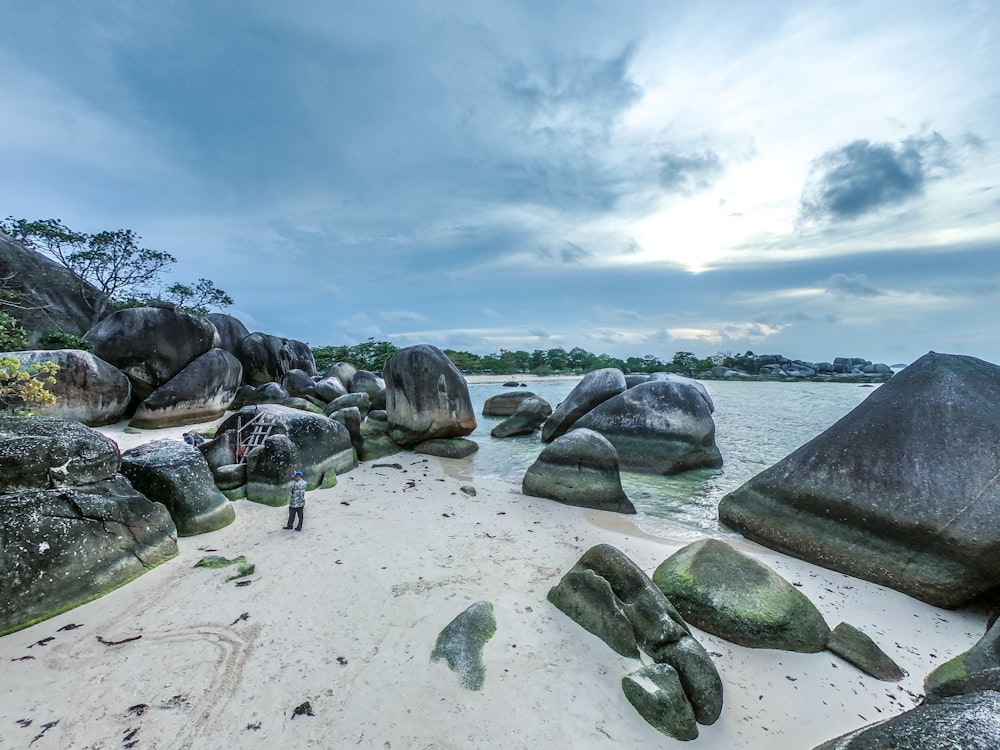 person standing beside rock near body of water during daytime