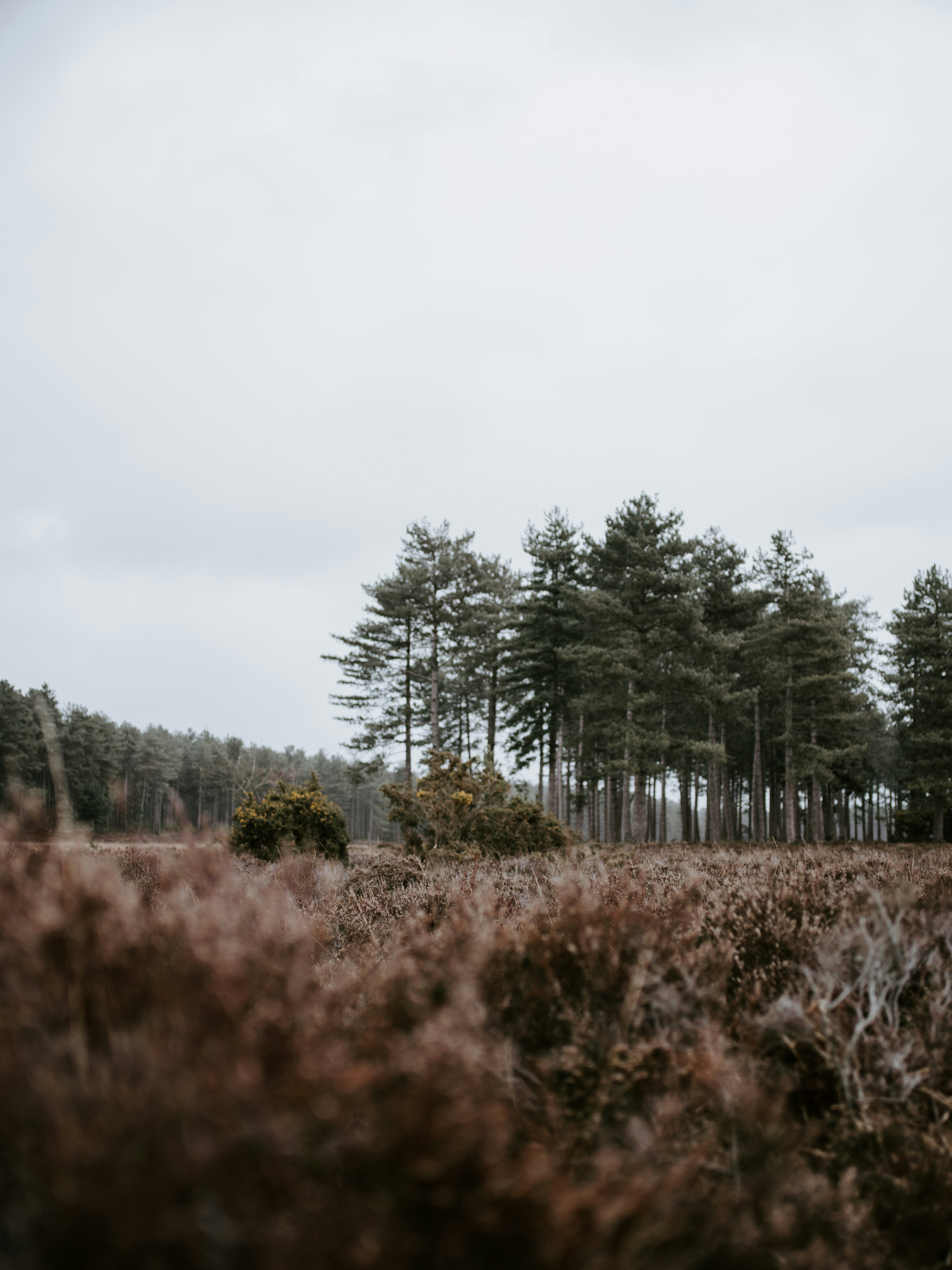 Photo by anniespratt