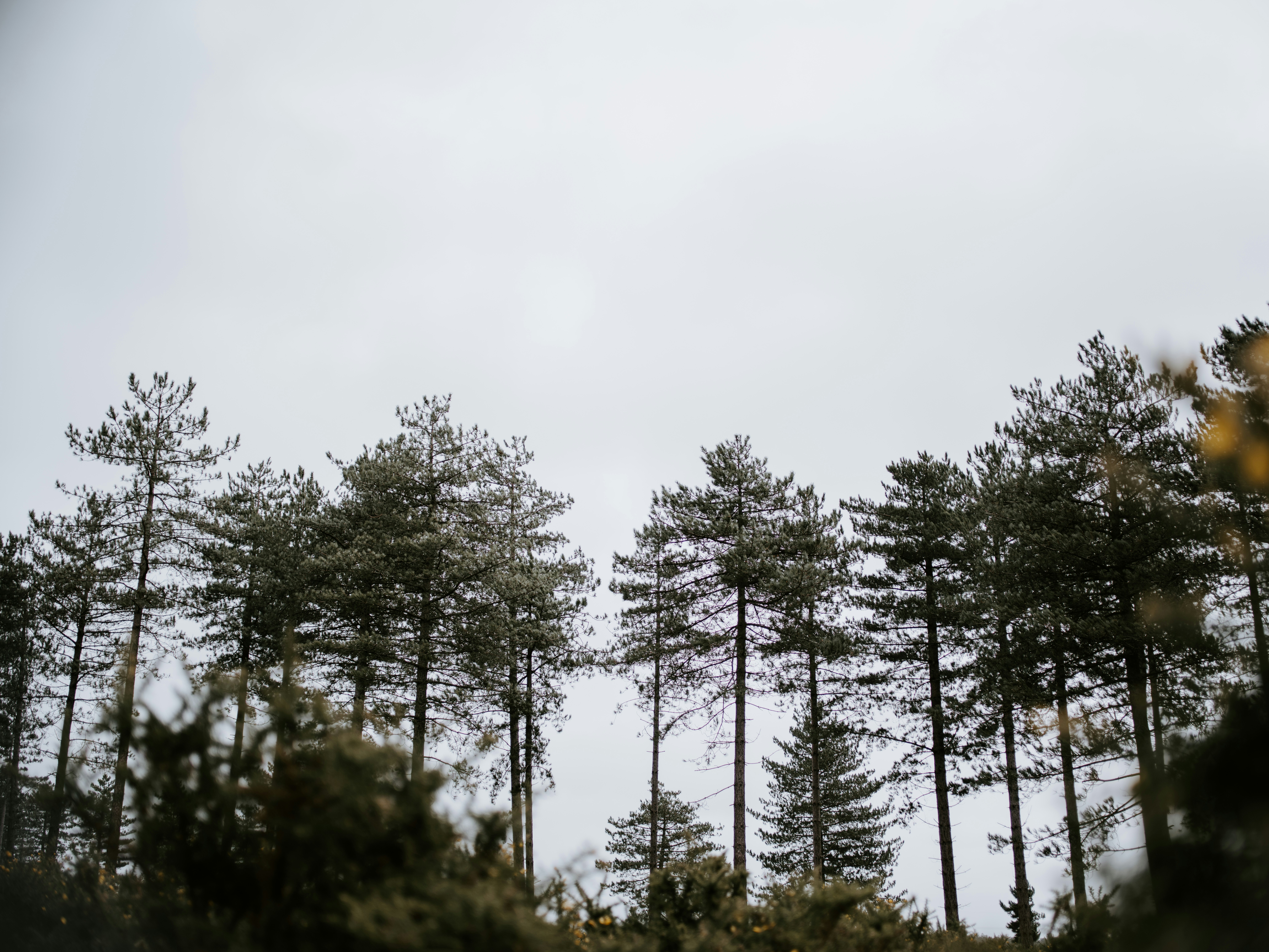 Photo by anniespratt