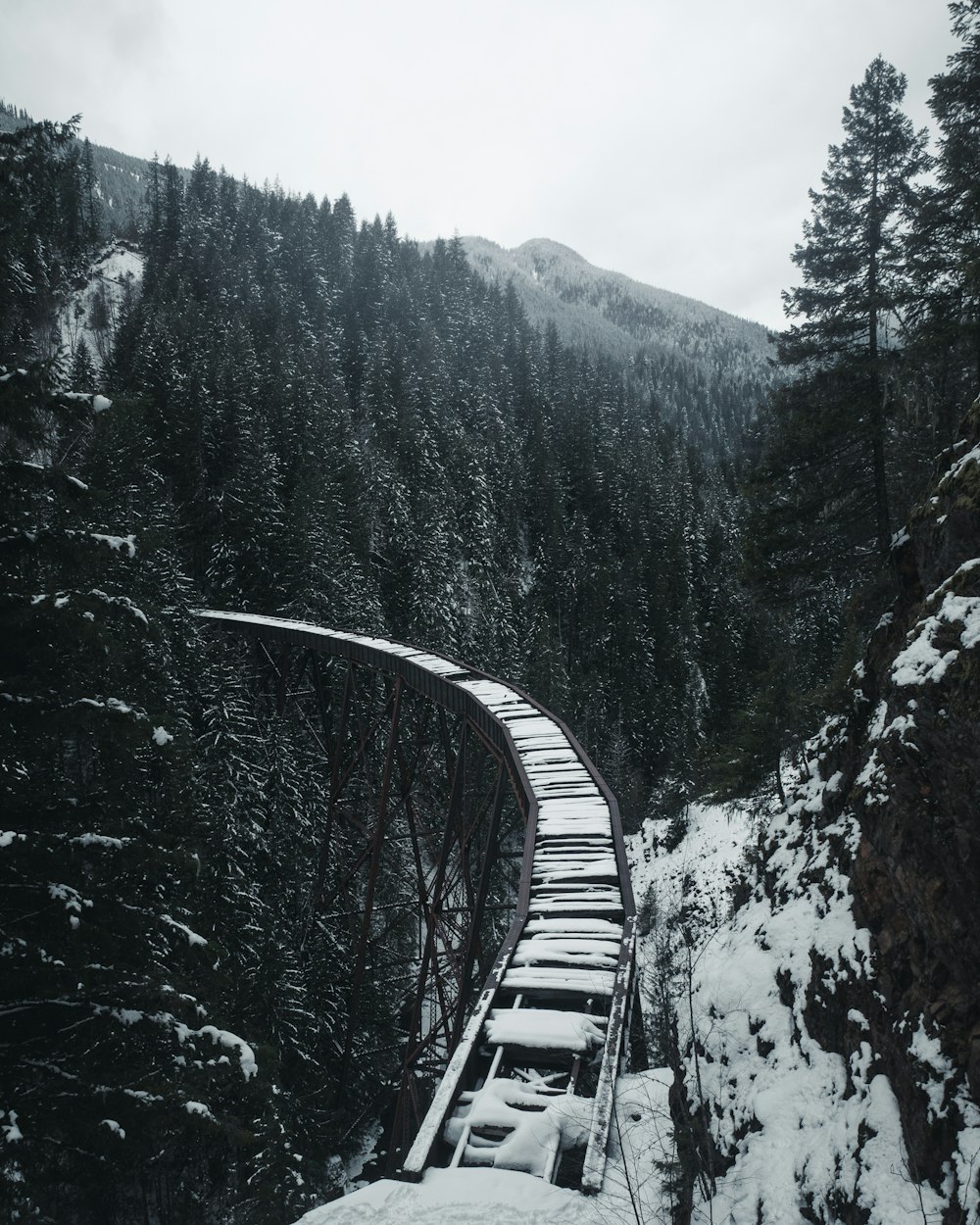 um trem viajando sobre uma ponte coberta de neve