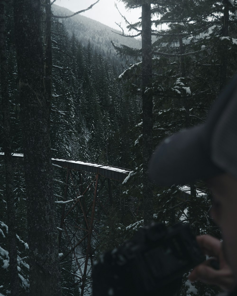 person wearing black cap near three during daytime