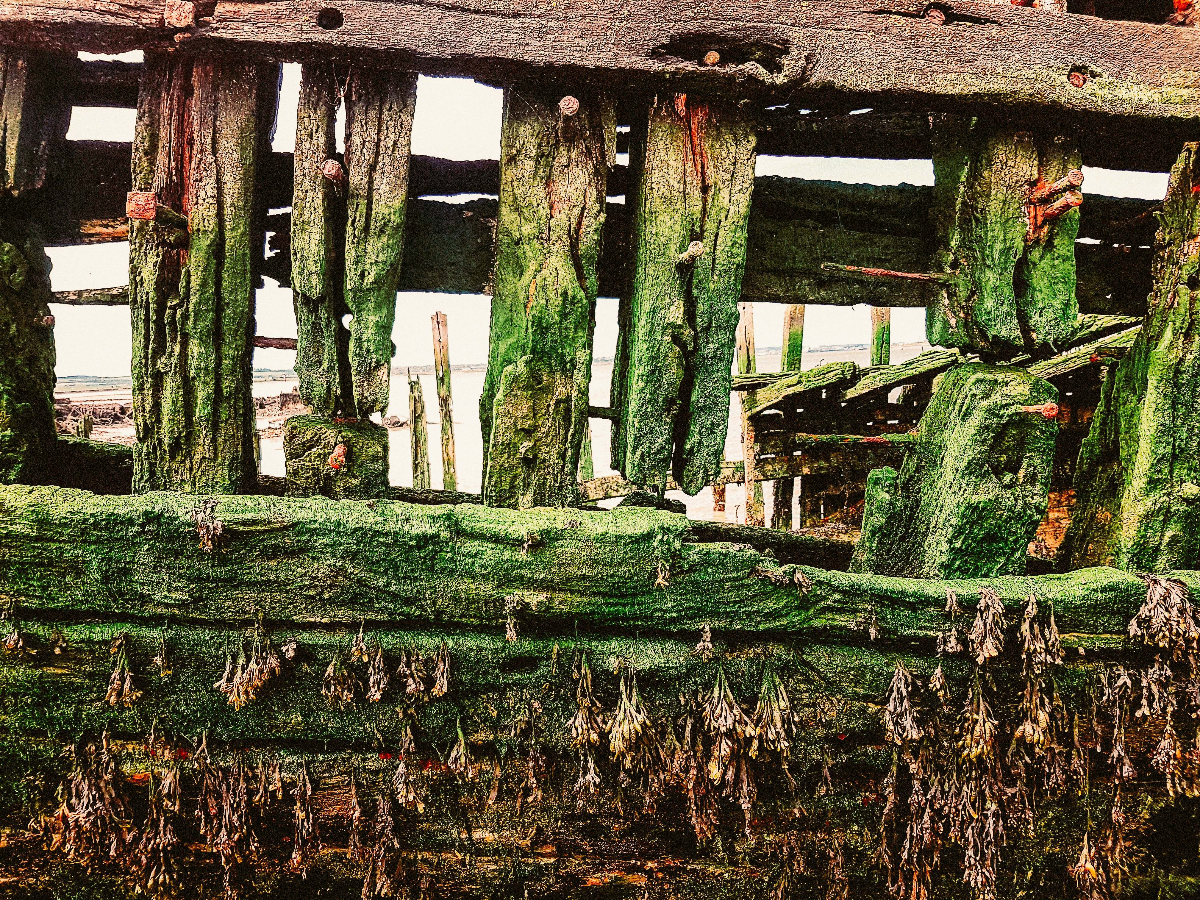 녹색과 갈색 목조 포기 주택