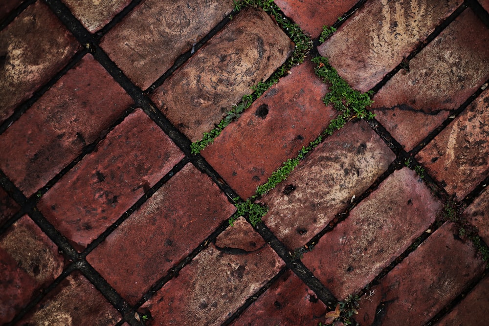 close-up photo of brown concrete bricks
