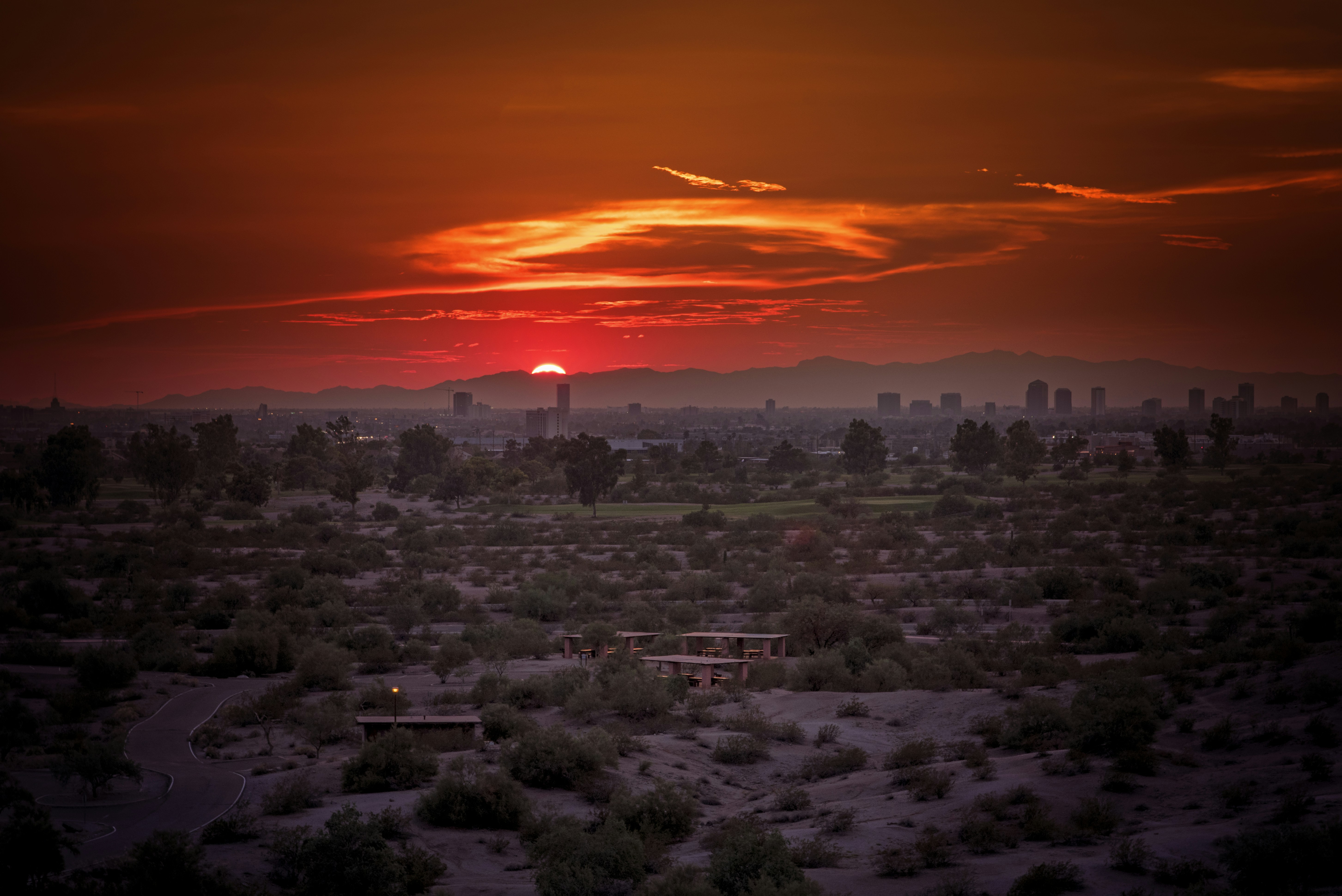 trees during susnset