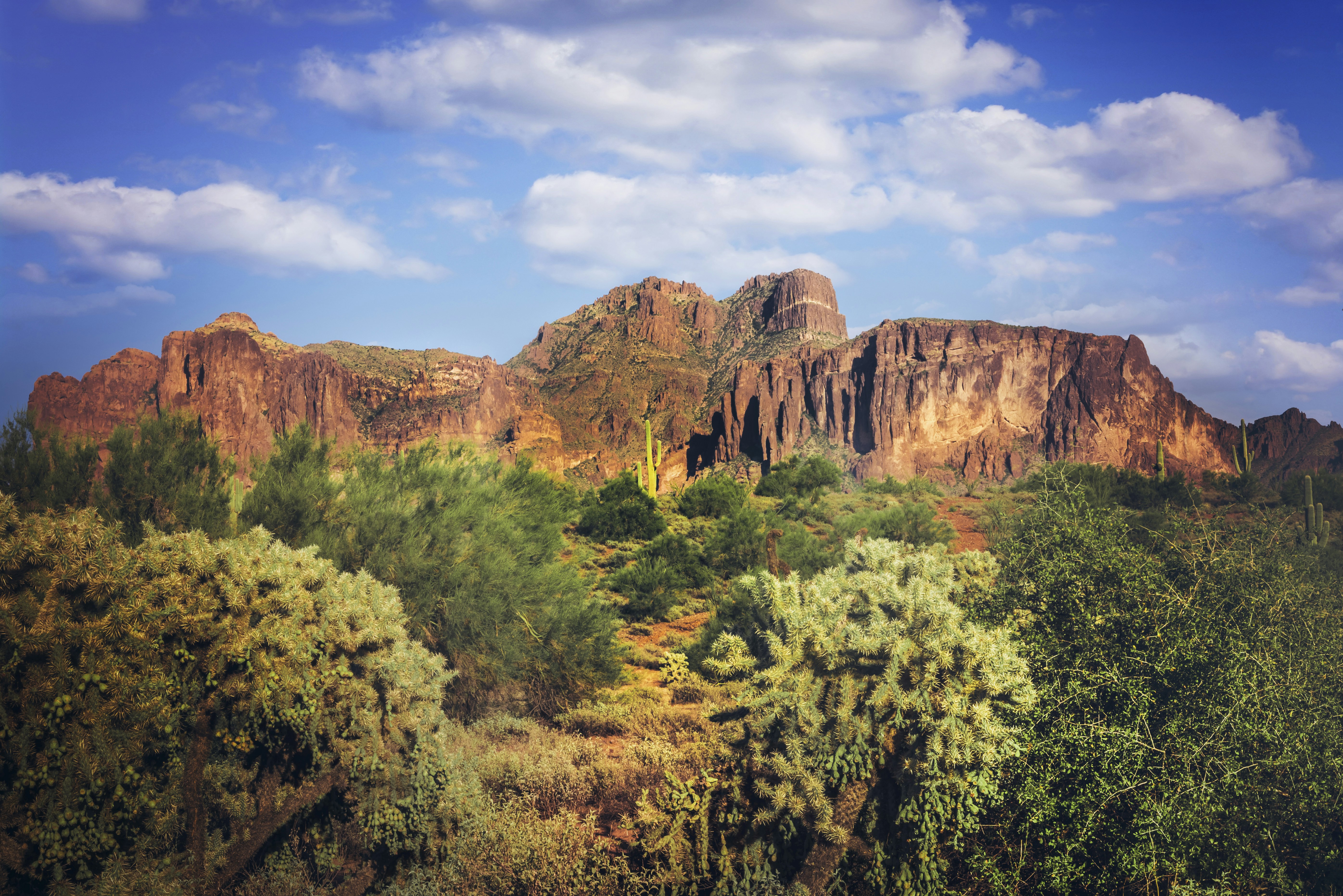 nature photography of brown mountain surrounded by green trees during daytime