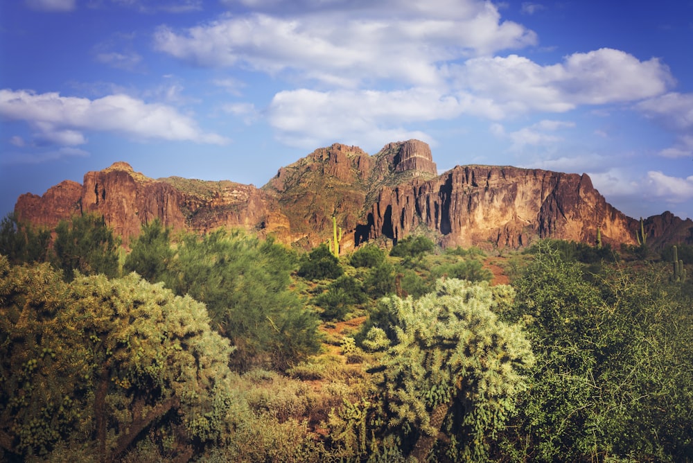 nature photography of brown mountain surrounded by green trees during daytime