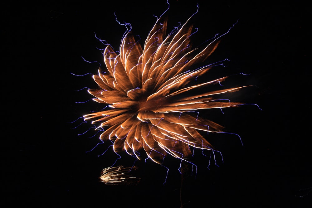 blue and white fireworks display