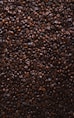 brown coffee beans lot