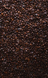 brown coffee beans lot