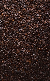 brown coffee beans lot