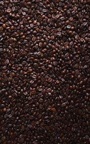 An artistic arrangement of film reels and coffee beans.