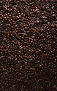 brown coffee beans lot
