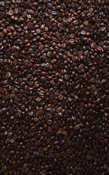 brown coffee beans lot